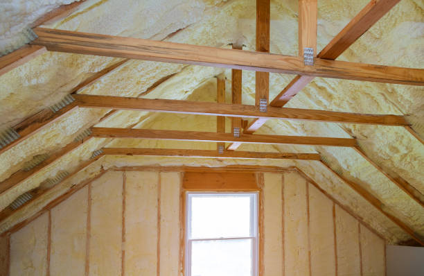 Best Insulation Replacement Services  in Issaquah, WA