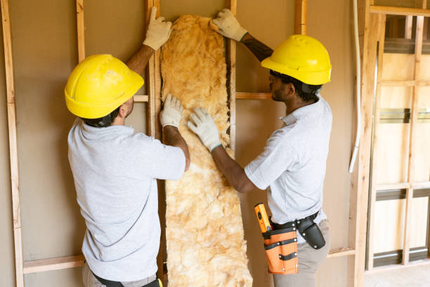 Best Soundproof Insulation Installation  in Issaquah, WA